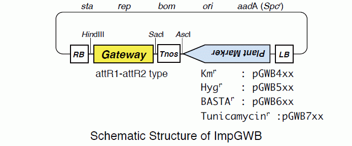 ImpGWB series