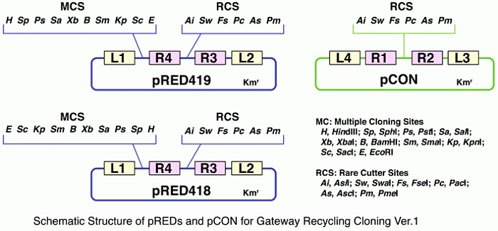 Gateway Recycling Cloning