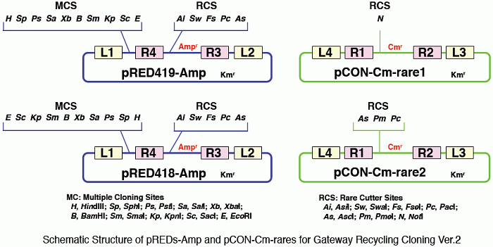 Gateway Recycling Cloning