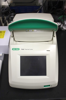 BioRad T100 サーマルサイクラー