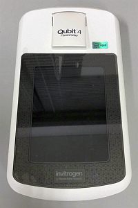 Qubit4 Fluorometer（ThermoFisher SCIENTIFIC）