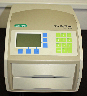 BIORUPTOR® II Type 6（BM機器株式会社）